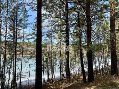 Продажа участка ДПК Садко, проезд Дачный