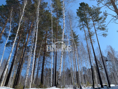 Продажа участка ДПК Садко, проезд Дачный