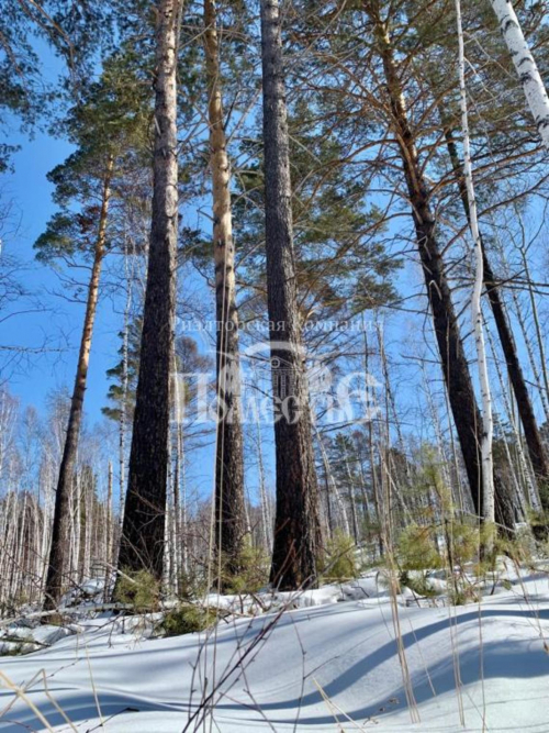 Продажа участка ДПК Садко, проезд Дачный