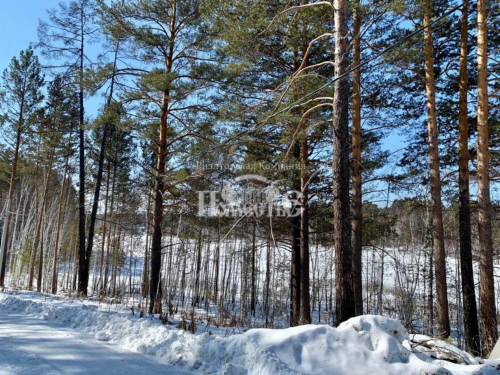 Продажа участка ДПК Садко, проезд Дачный