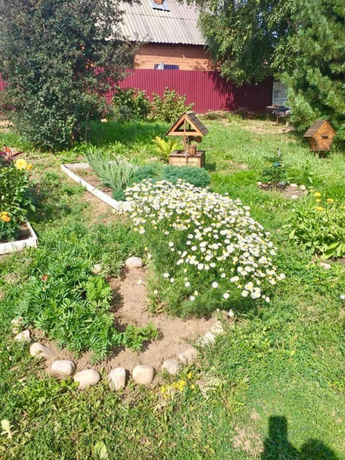 Продажа дома СНТ Веселое, ул.Земляничная, 122