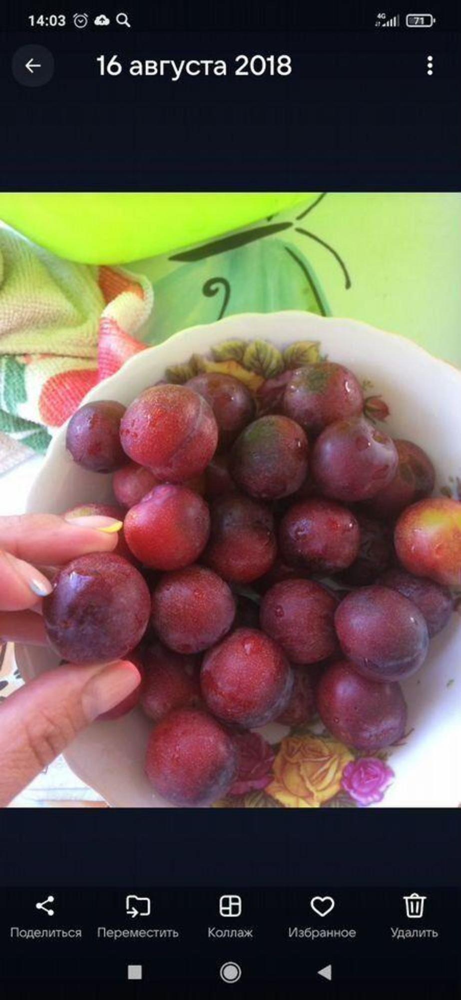 Купить дачу, дом, коттедж за 2 750 000 рублей на Минская, 24