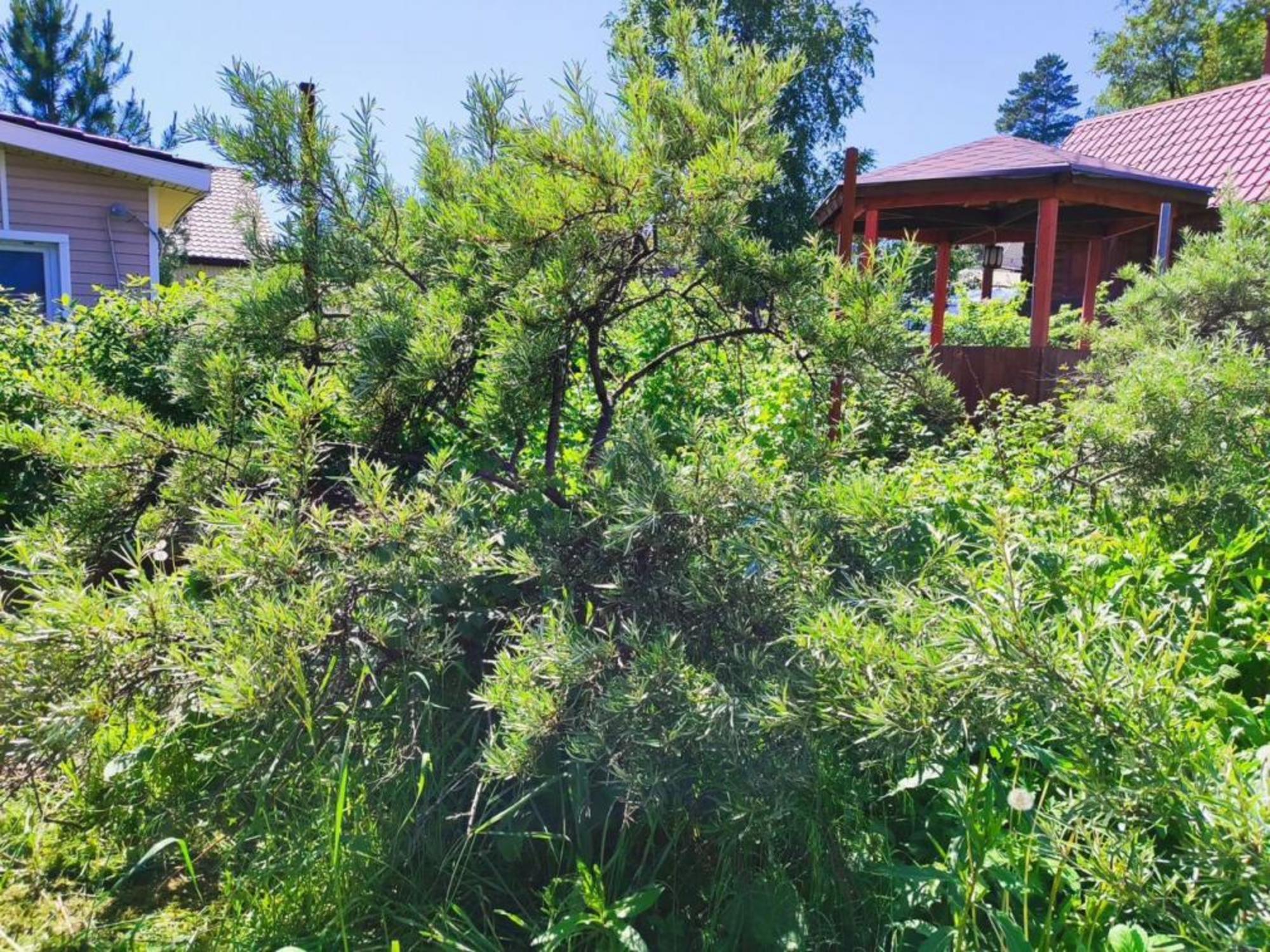 Купить дачу, дом, коттедж за 2 000 000 рублей на СНТ Авиатор-2, 162