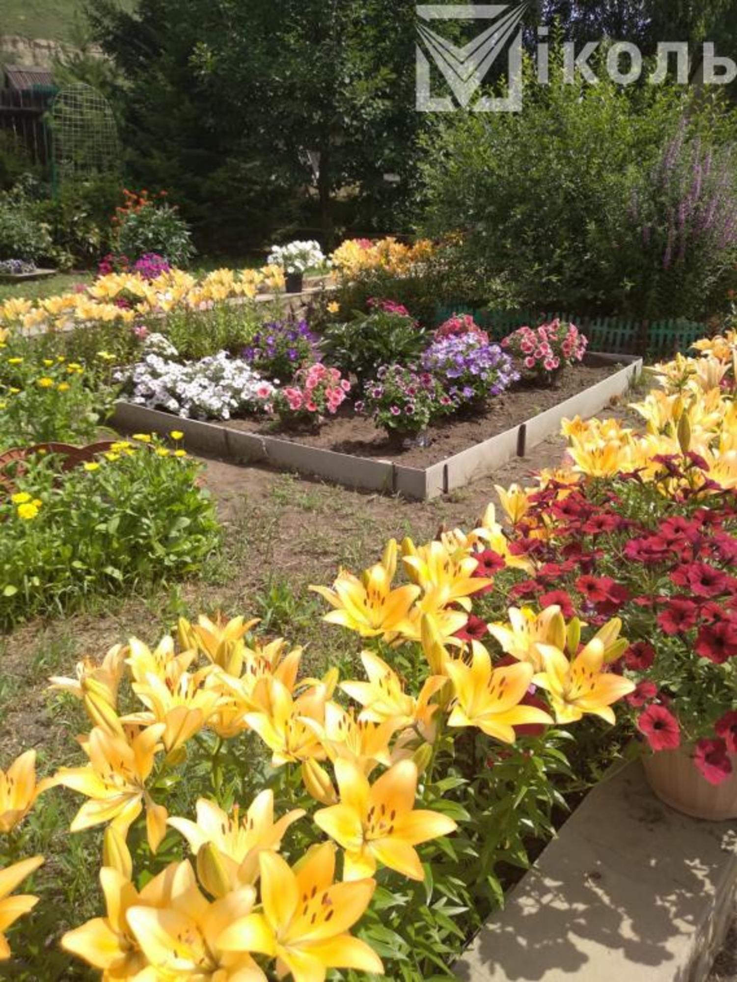 Купить дачу, дом, коттедж за 2 900 000 рублей на СНТ Локомотив, Набережная, 87