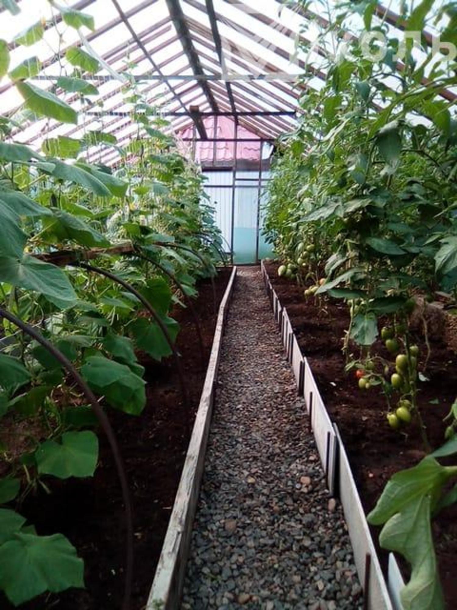 Купить дачу, дом, коттедж за 2 900 000 рублей на СНТ Локомотив, Набережная, 87