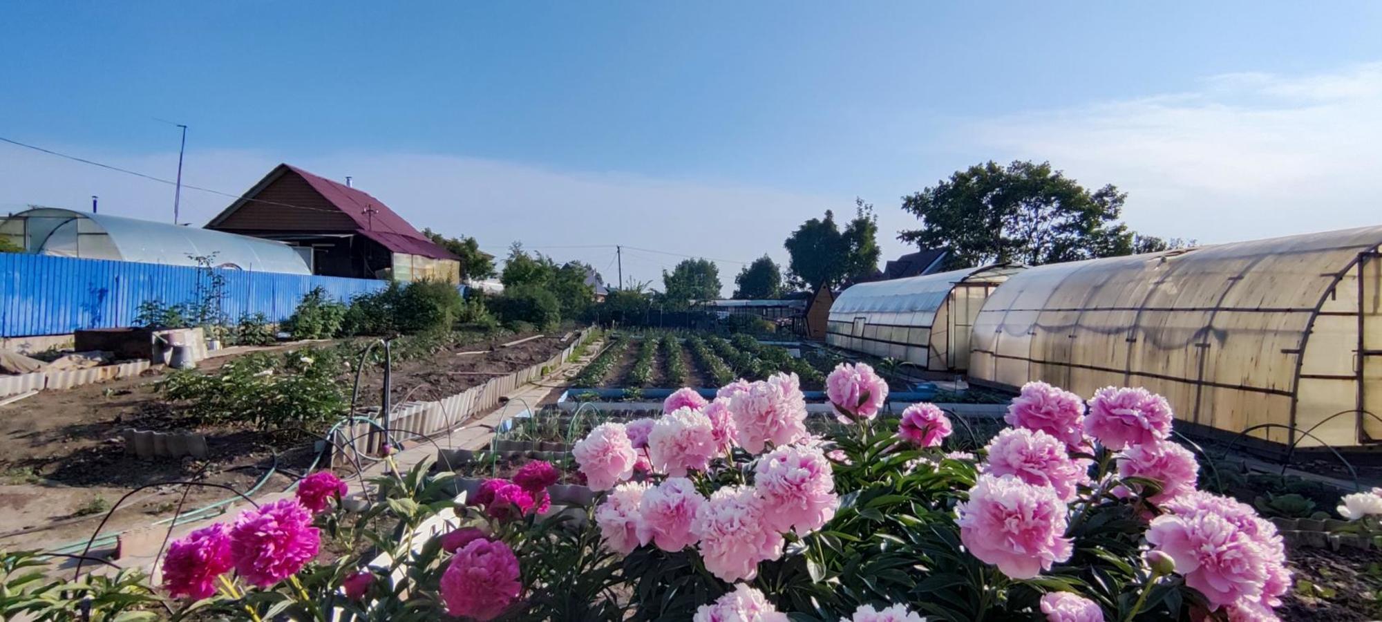 Купить дачу, дом, коттедж за 3 699 000 рублей на СНТ Светофор, Лесная, 114