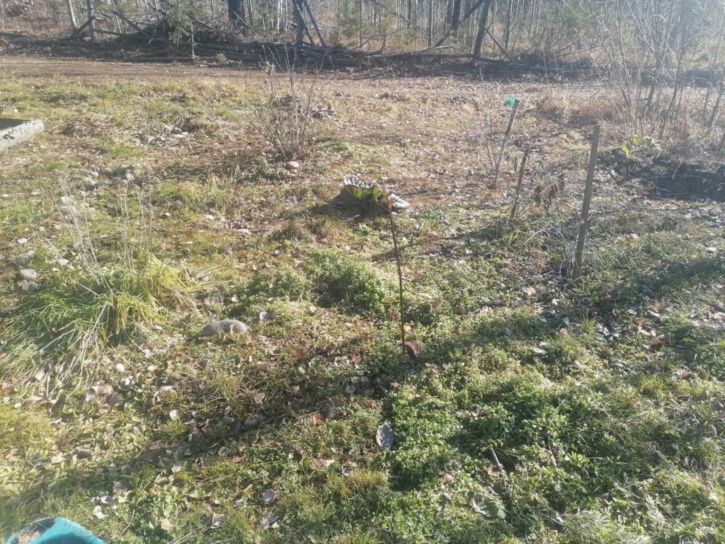 Коттедж/дом -, 0