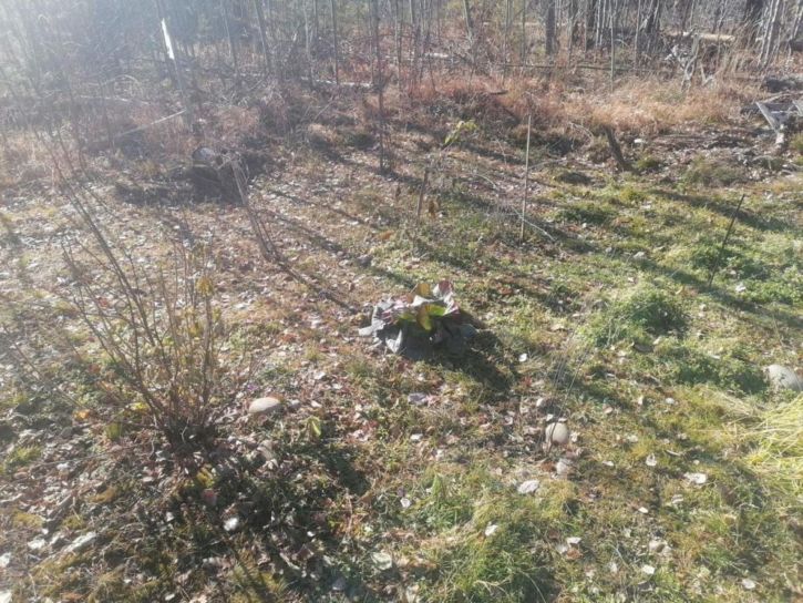 Коттедж/дом -, 0