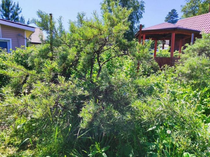 Коттедж/дом СНТ Авиатор-2, 162