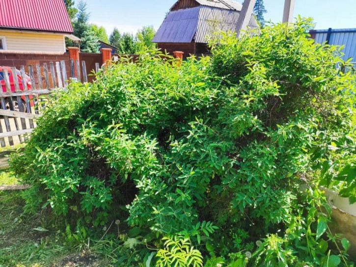 Коттедж/дом СНТ Авиатор-2, 162