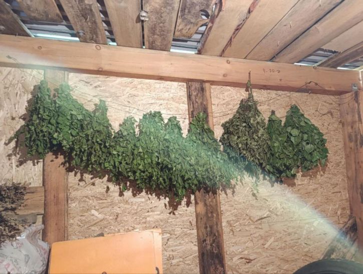 Коттедж/дом СНТ Хея, Вишневая, 65