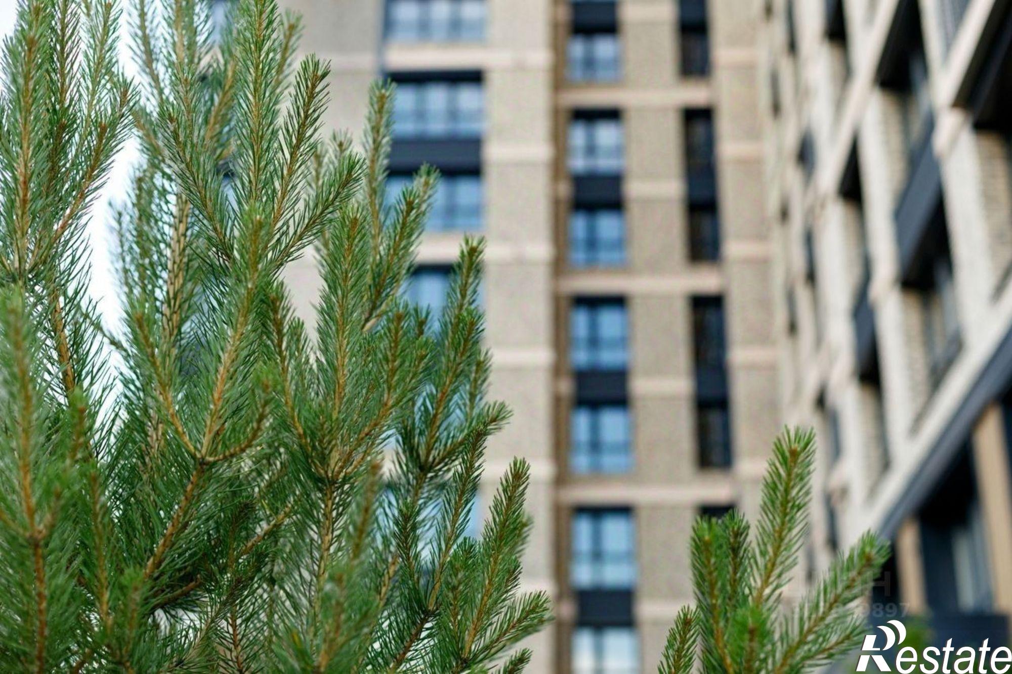 Купить квартиру за 15 909 200 рублей на ул Култукская, 24