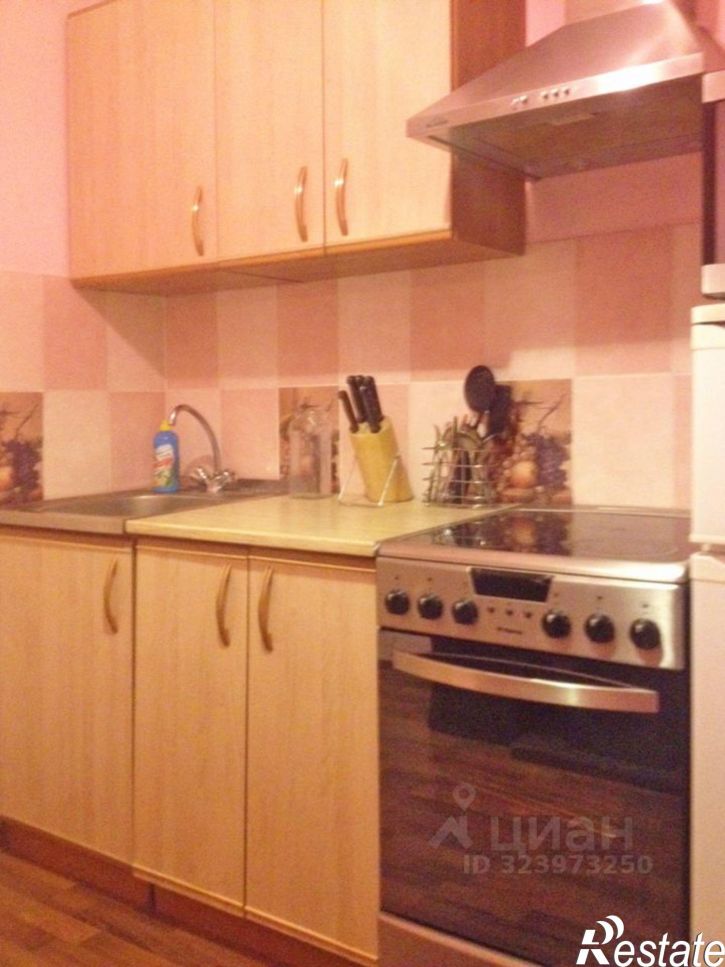 1-комн квартира ул Лопатина, 19,  д. 19