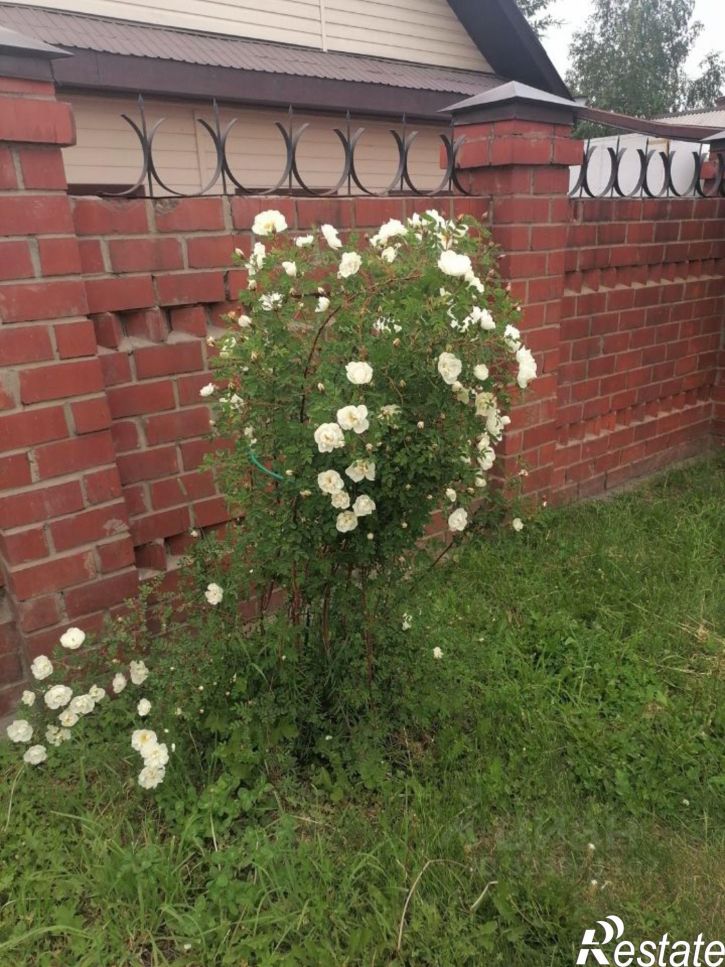 Коттедж/дом Молодёжная улица, 10,  д. 10