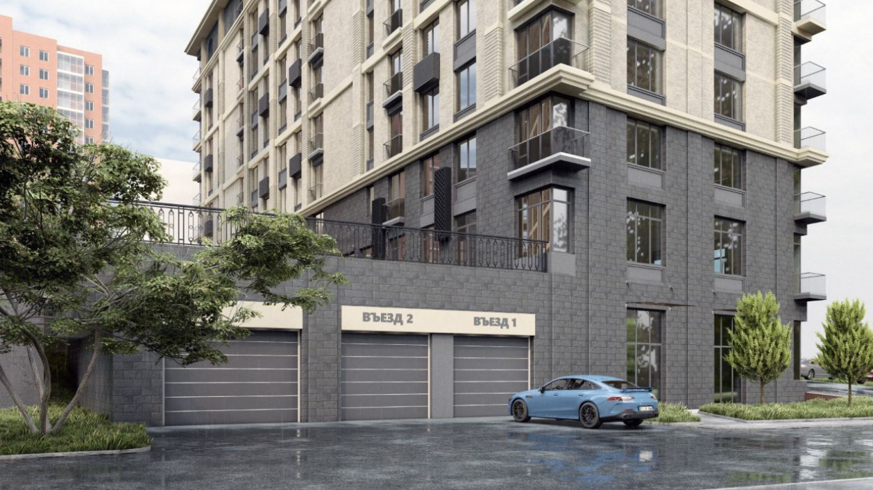 Верба Верба