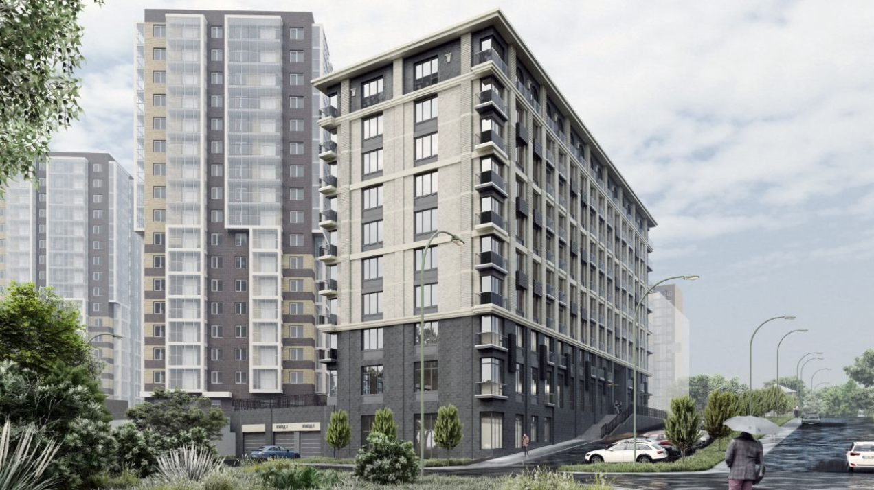 Верба Верба