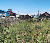 земля 6 сот Лескова