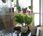 2-комн, 69кв м, этаж 1/6 ул Сибирская, 14