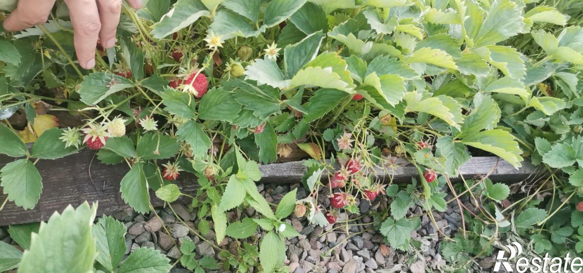 Купить дачу, дом, коттедж за 6 000 000 рублей на Матросская улица, 54