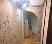 комната 47 кв м ул Касьянова, 22