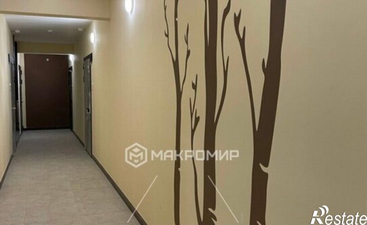 2-комн квартира ул Шмидта, 10,  д. 10