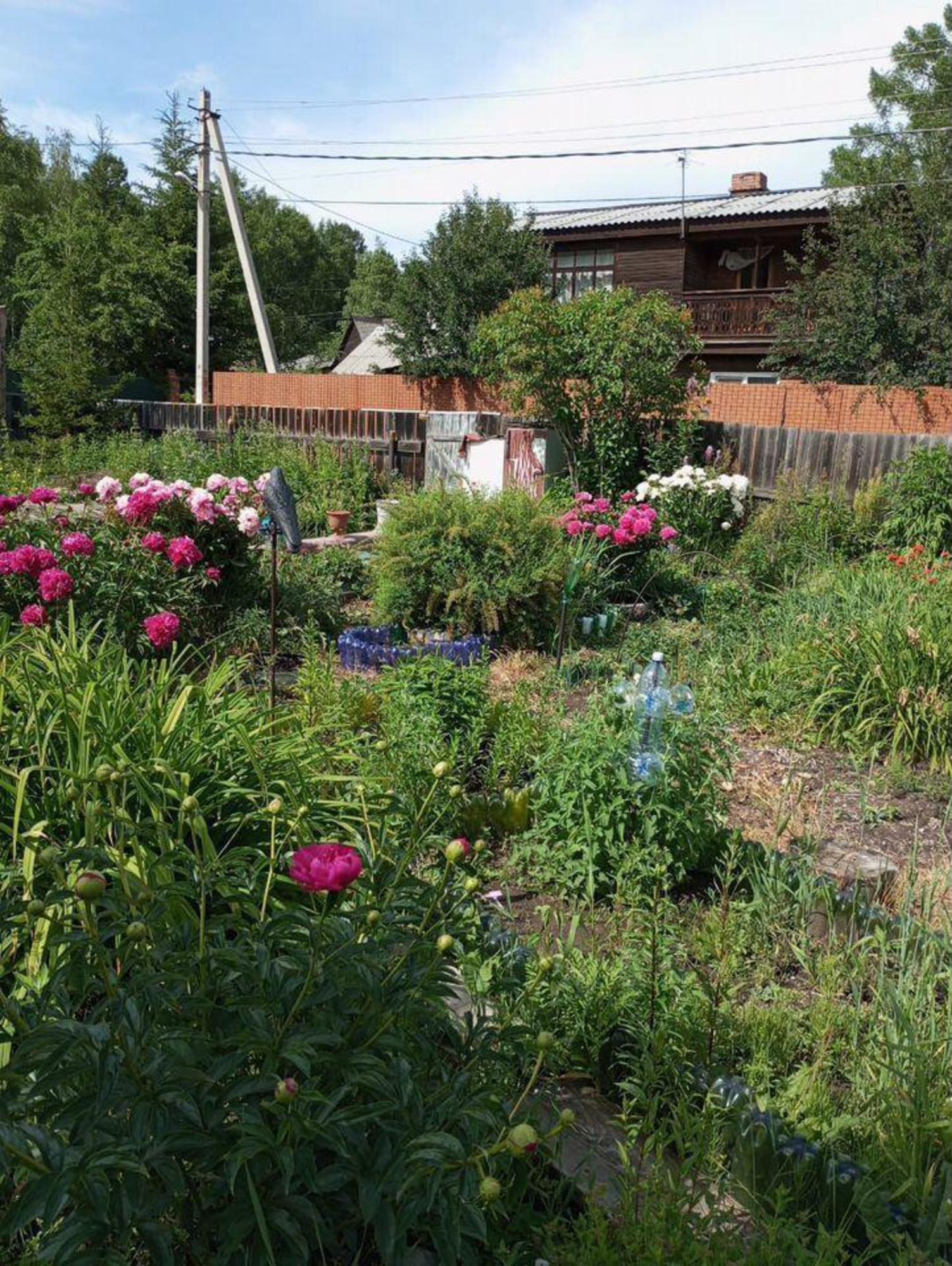 Купить землю, земельный участок за 2 700 000 рублей на ДНТ Городское