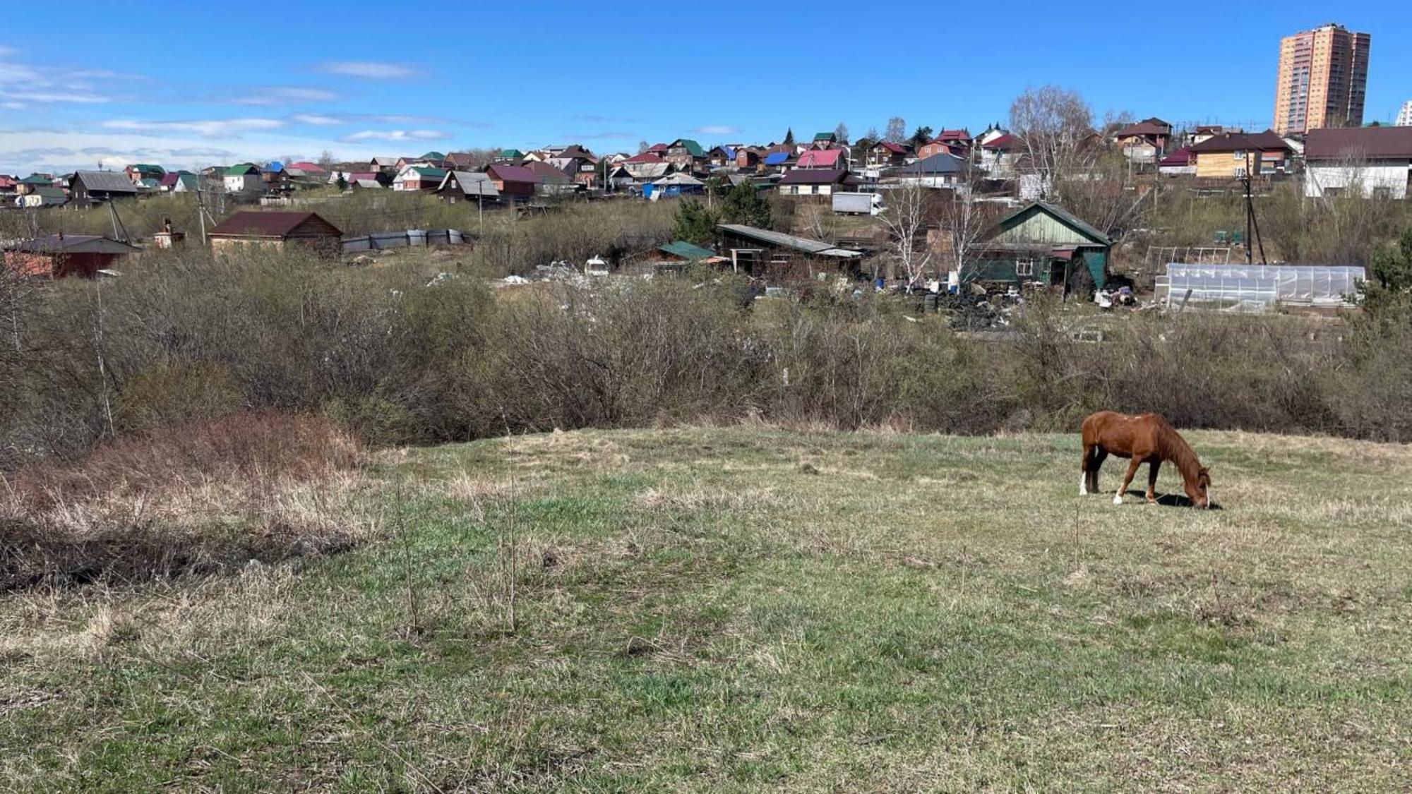 Купить землю, земельный участок за 1 600 000 рублей на Огородная 3-я