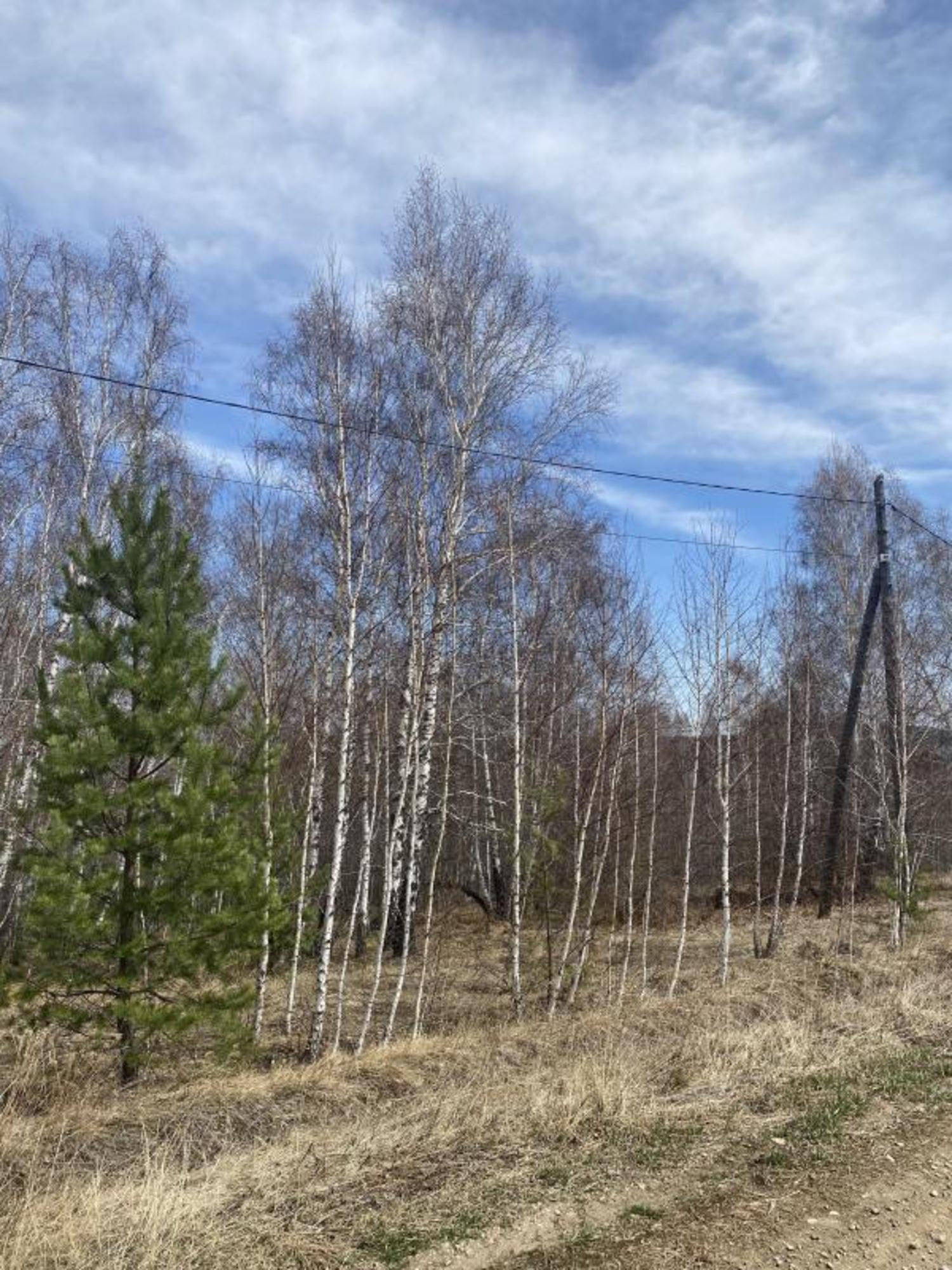 Купить землю, земельный участок за 3 600 000 рублей на Лесной поселок