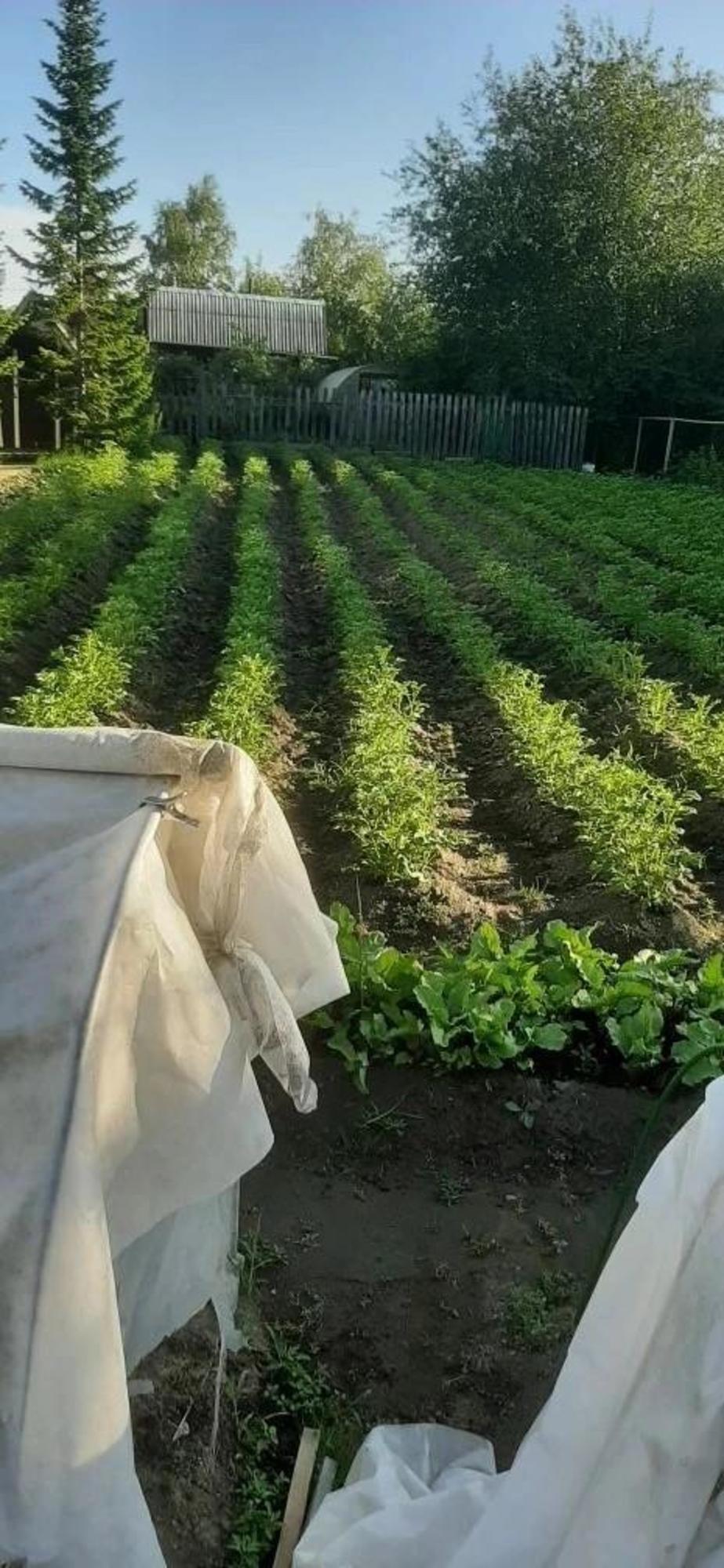 Купить дачу, дом, коттедж за 14 400 000 рублей на Пляжная, 29