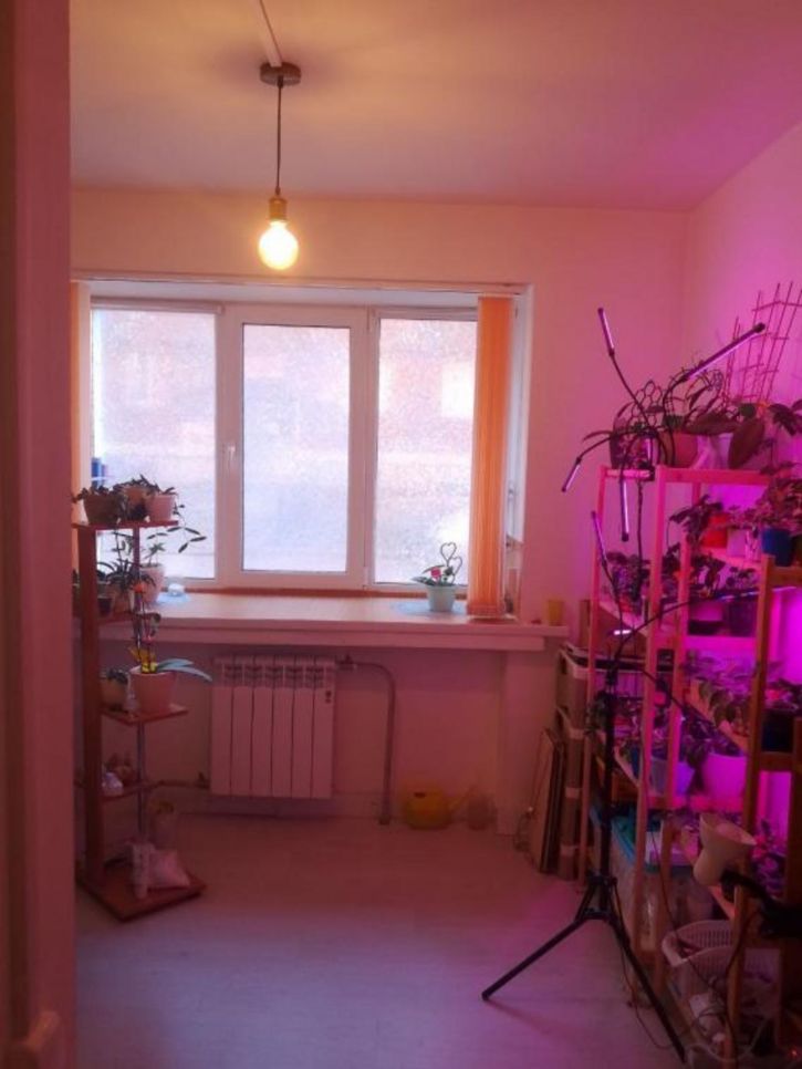 Комната Депутатская, 48