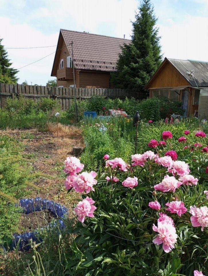 Земельный участок ДНТ Городское