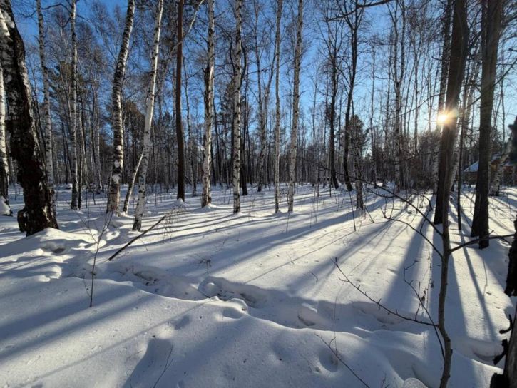 Земельный участок СНТ Ангарские Зори, Луговая, 18