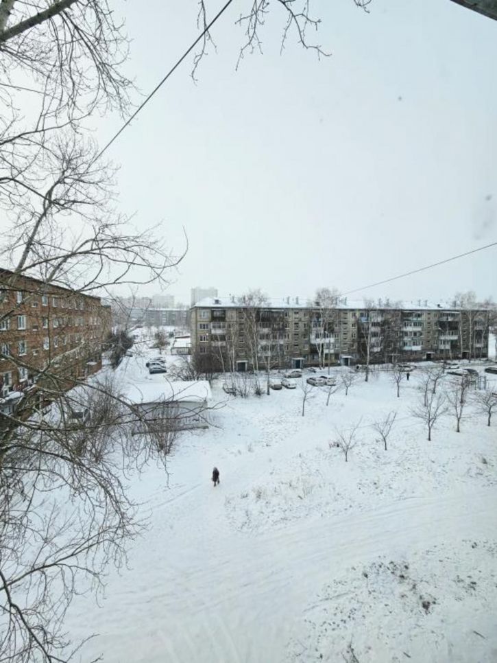1-комн квартира Розы Люксембург, 313