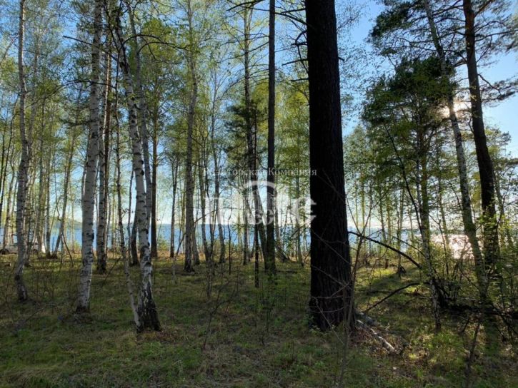 Земельный участок ДНТ Петровская слобода, пр.Иркутский