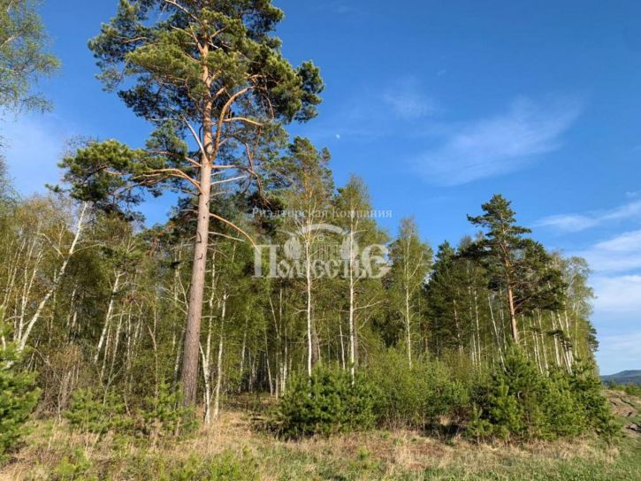Земельный участок ДНТ Петровская слобода, пр.Иркутский