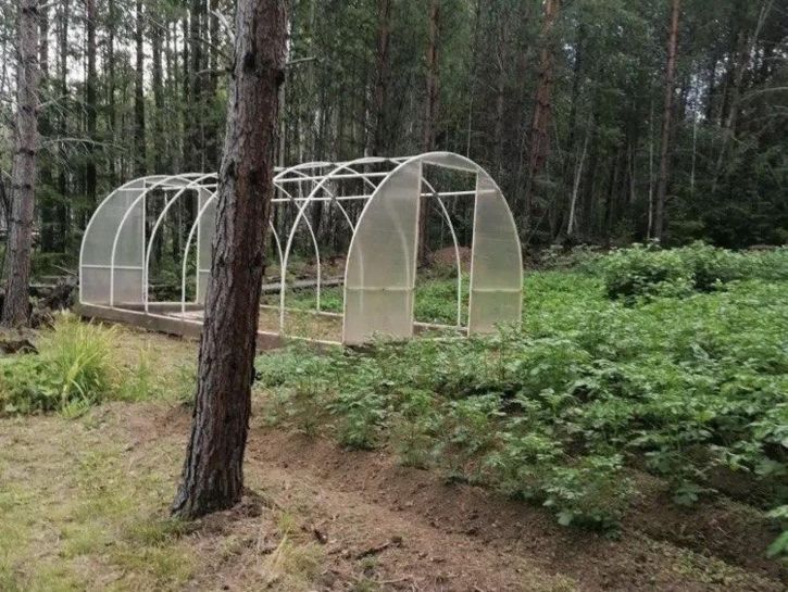 Земельный участок СНТ Минерал, Сиреневая