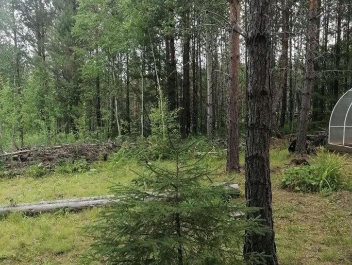 Земельный участок СНТ Минерал, Сиреневая