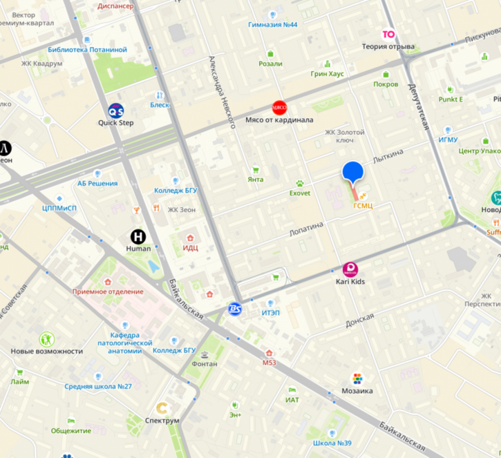 1-комн квартира Лыткина, 42
