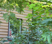 коттедж 48 кв м ул Берег Ангары, 52