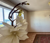 3-комн, 63кв м, этаж 4/5 ул Пискунова, 100