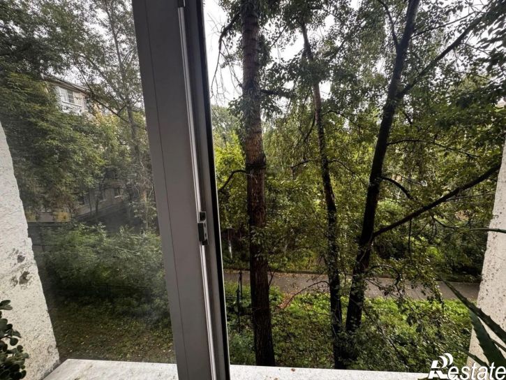 1-комн квартира Пограничный пер, 1в,  д. 1в