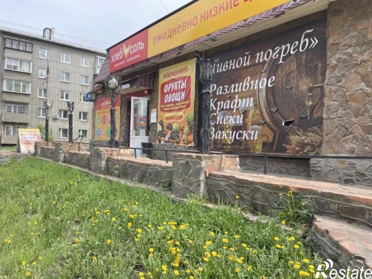 Торговое помещение ул Лыткина, 42,  д. 42