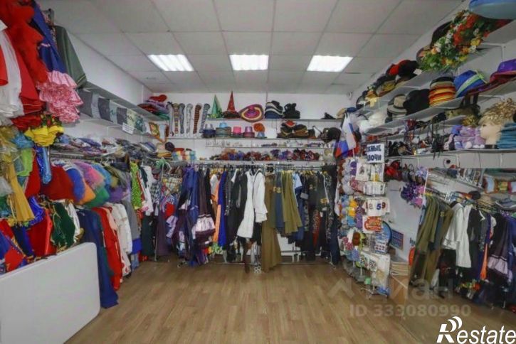 Помещение свободного назначения ул Баумана, 207,  д. 207