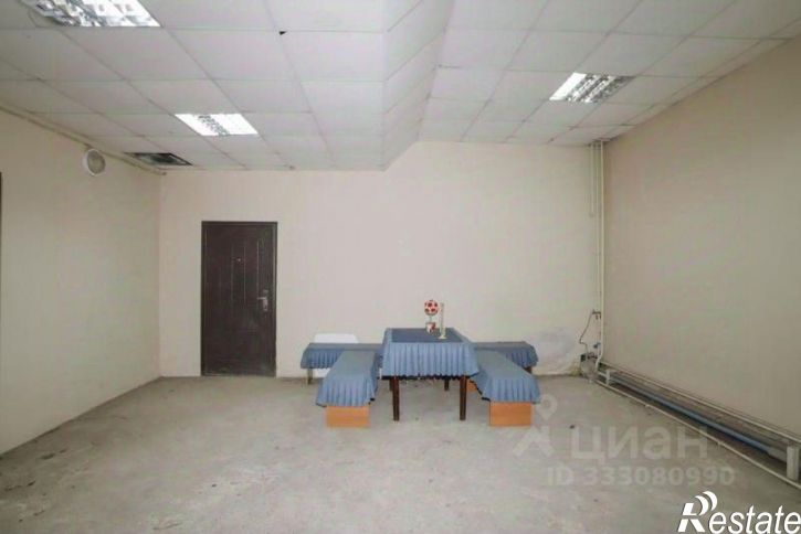 Помещение свободного назначения ул Баумана, 207,  д. 207