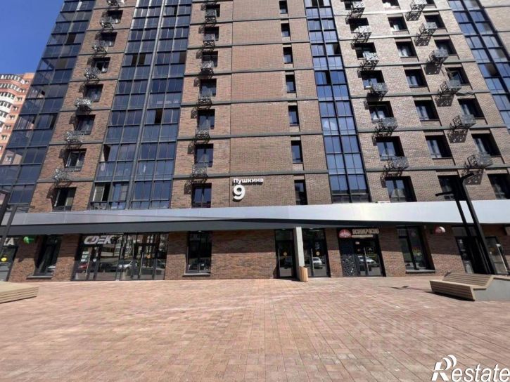 3-комн квартира ул Пушкина, 9,  д. 9