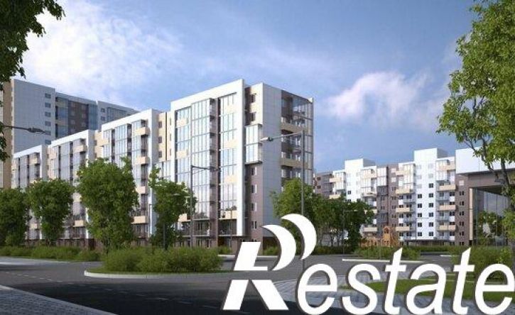 1-комн квартира улица Летописца Нита Романова, 23,  д. 23