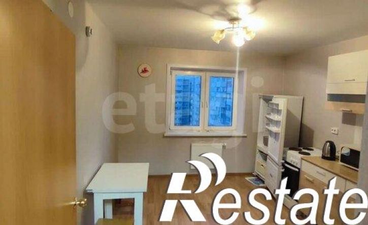 1-комн квартира улица Летописца Нита Романова, 23,  д. 23