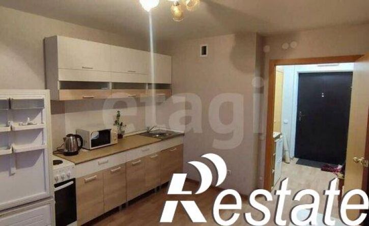 1-комн квартира улица Летописца Нита Романова, 23,  д. 23